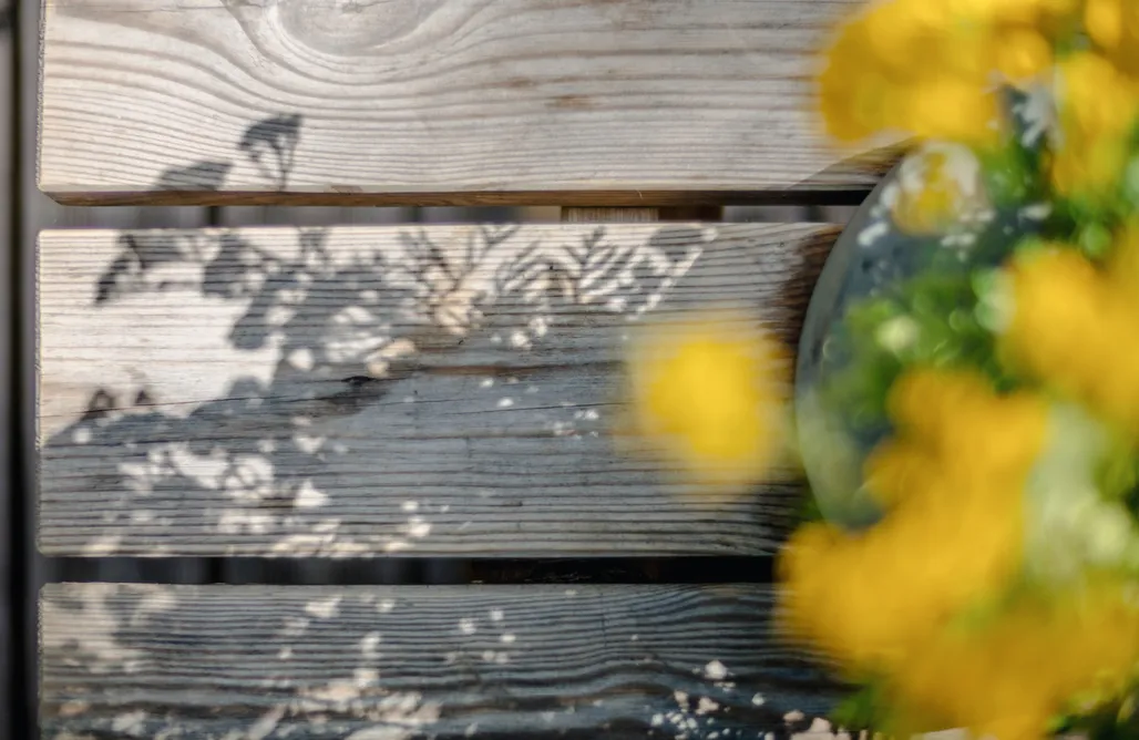 ubytovanie AlohaCamp ForRest Cabins z Leśnym SPA 5