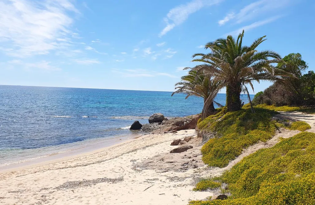 noclegi AlohaCamp Agriturismo Corte degli Ulivi 4