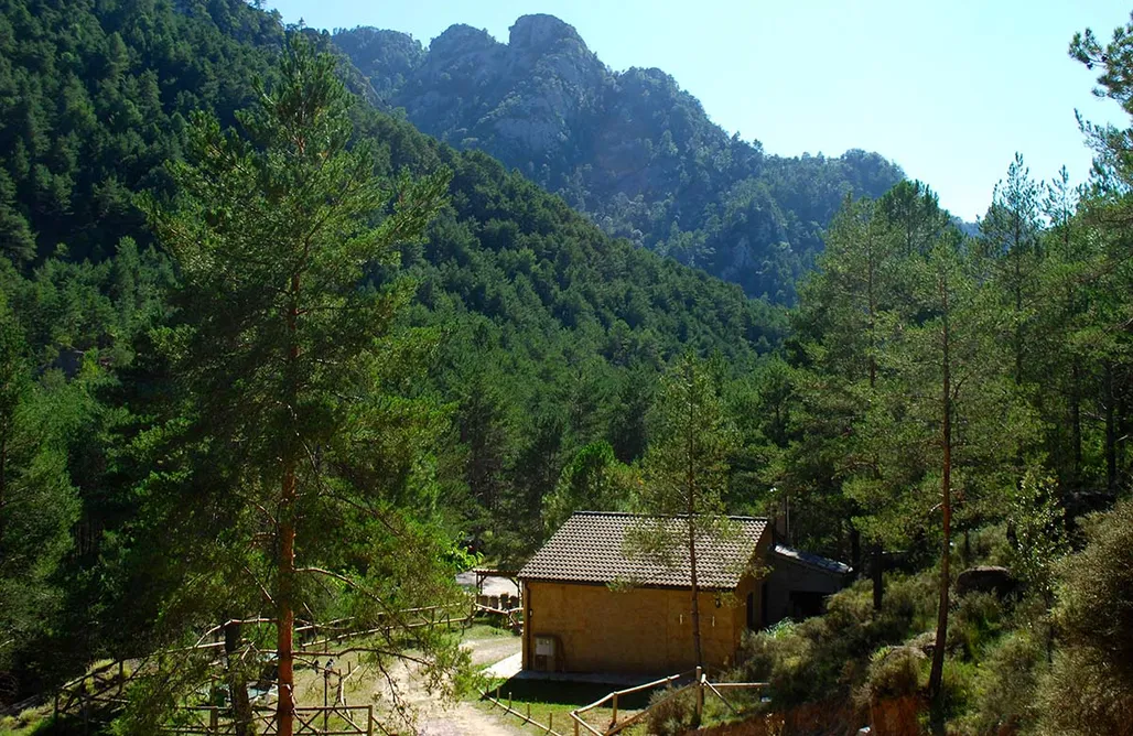 alojamientos AlohaCamp Cal Saragossa 2