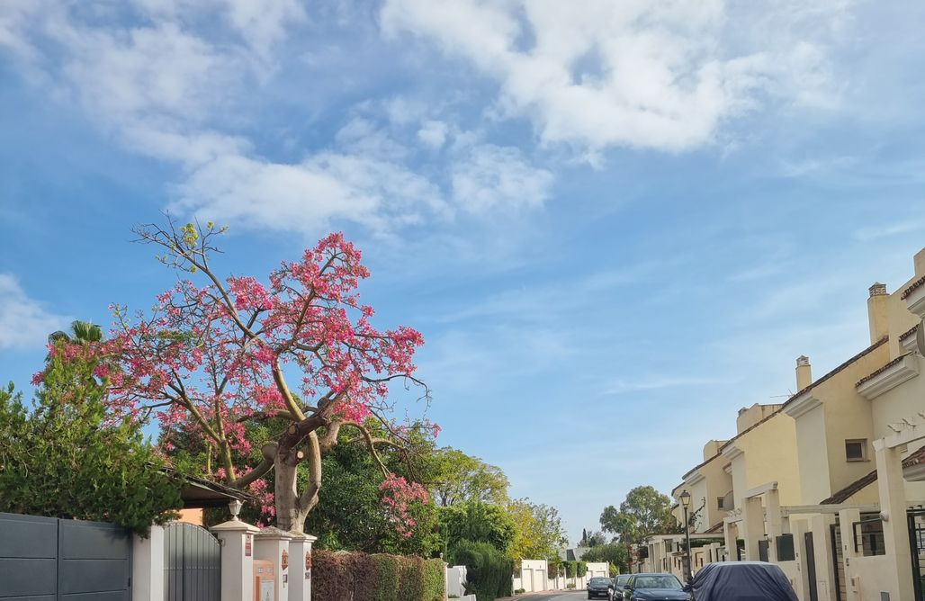 alojamientos AlohaCamp Casa de 3 habitaciones con Jardin Privado en Marbella 5