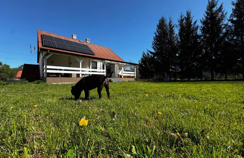 Andrzejewo noclegi Siedlisko Stara Poczta Podlasie z jacuzzi i dużym ogrodem 2