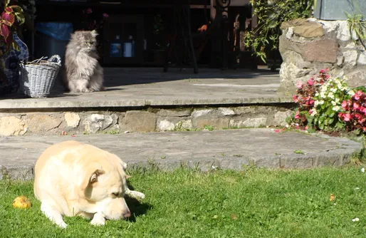 Zdjęcie obiektu Miejsce kamperowe - Camping KLUCZWODA