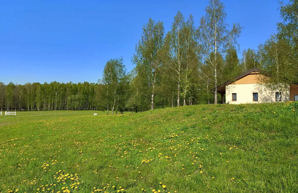 noclegi AlohaCamp Ukojenie Naturą 4