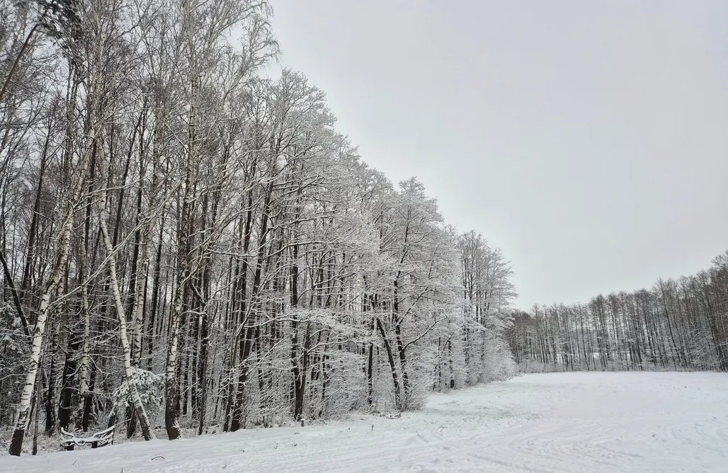 noclegi AlohaCamp Szyszkowy Domek z balią  5