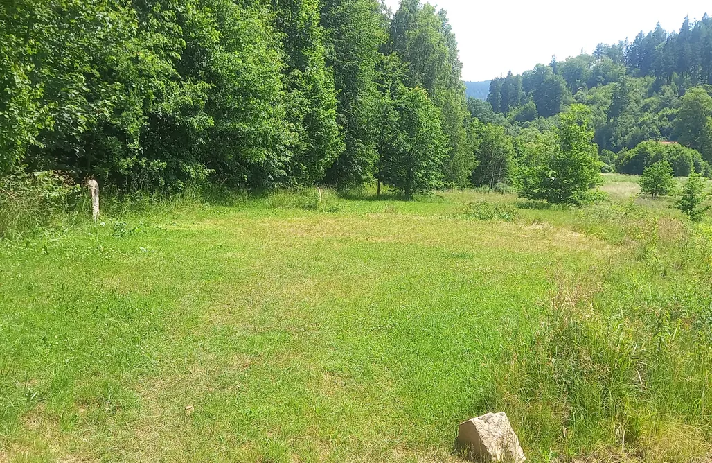 AlohaCamp Stanowisko na Kamper lub namiot z dostępem do podłączenia elektrycznego (Tent or Caravan incl Car and Electricity) 2