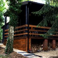 Kacper host Okno na Las