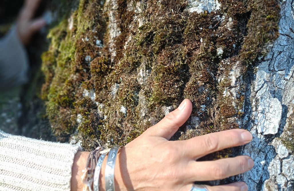 noclegi AlohaCamp Domek szeregowy Przyjacielówka Ekstra 2  1