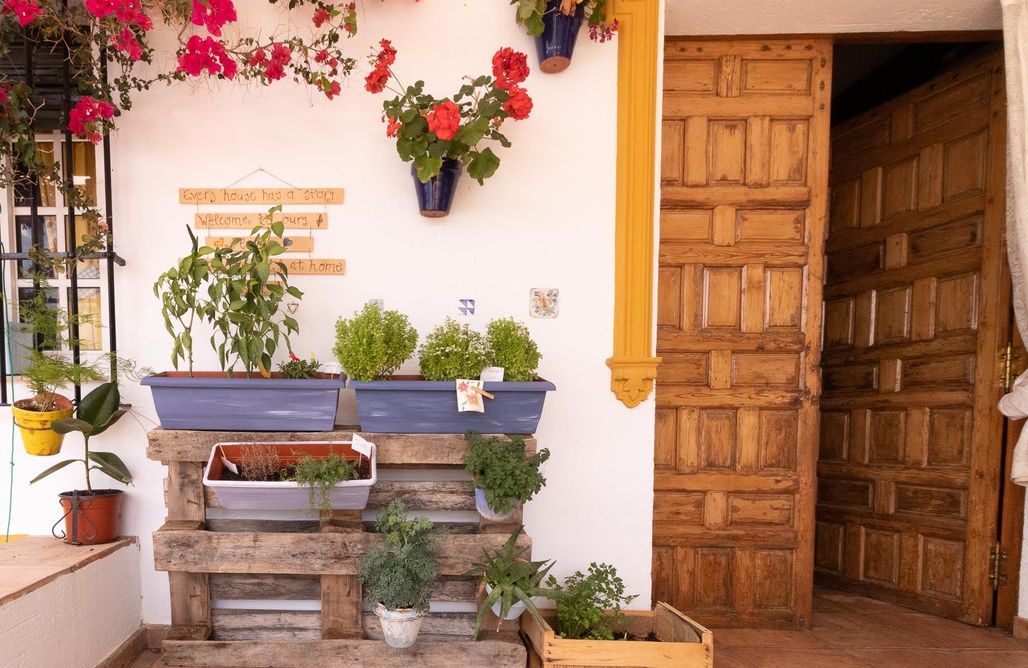 alojamientos AlohaCamp Casa Rural Bohemia de Lola 5