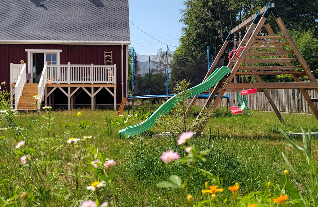 Warmońsko-Mazurskie Siedlisko Orla 3