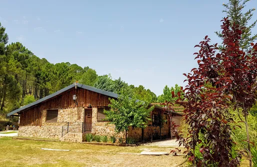 Imagen de Zafiro Lagunazo