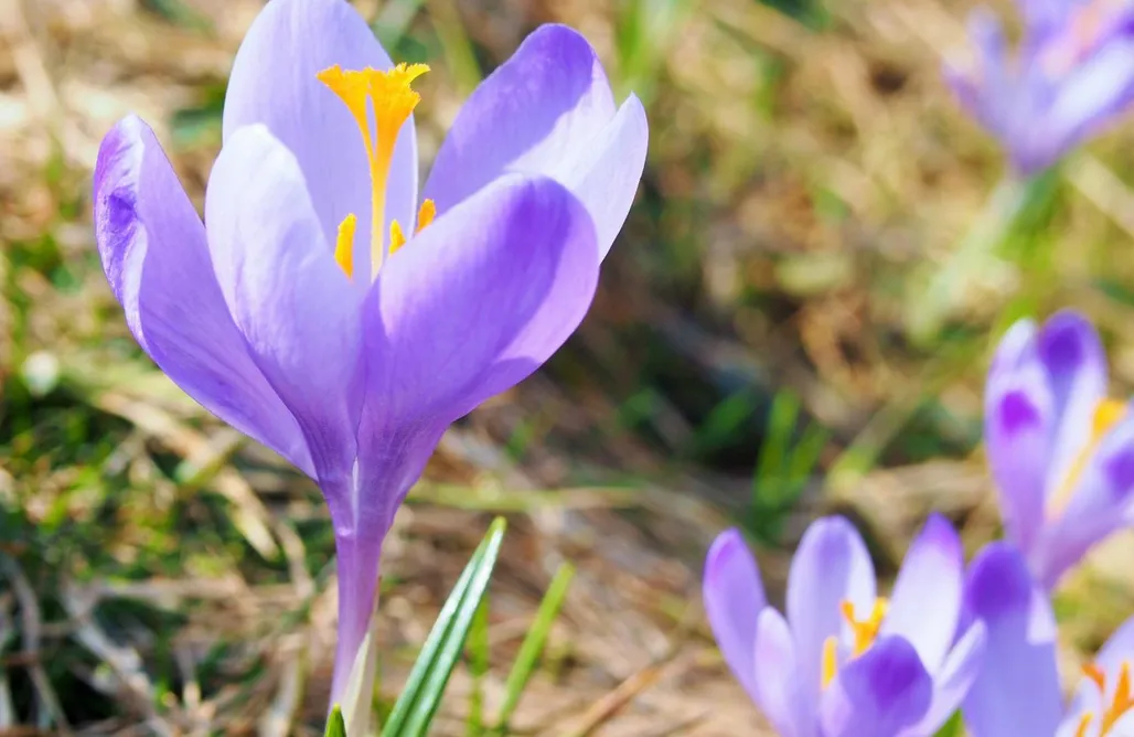 Kurzurlaub Dziko Hanka 1