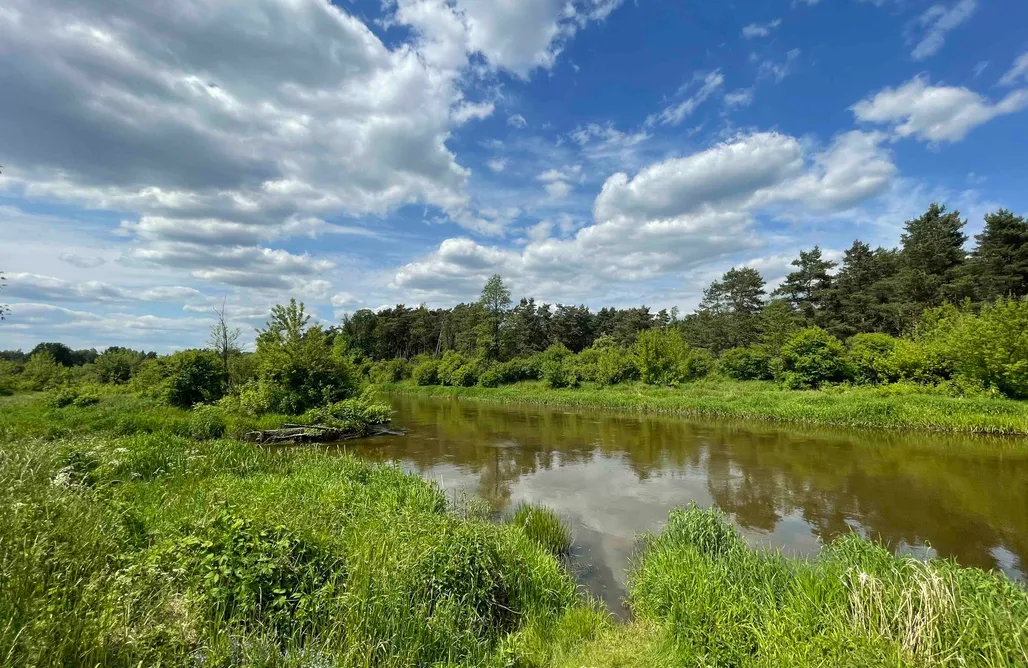 noclegi AlohaCamp Chatka nad Liwcem 3