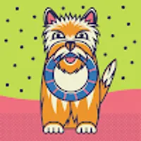 Changbae użytkownik