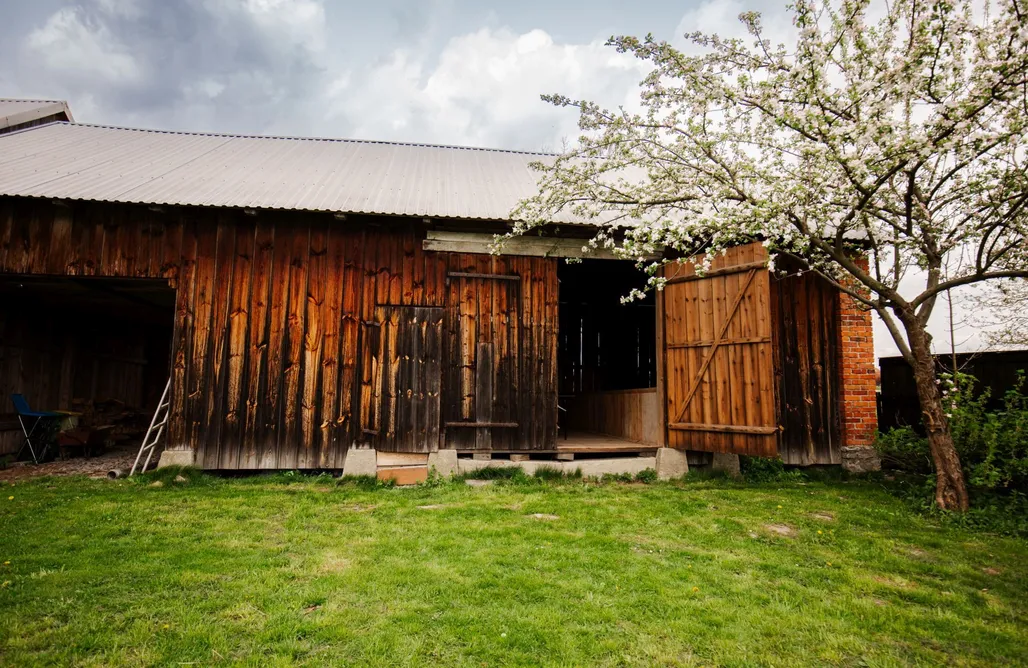 Glamping lubelskie Sielanka Roztocze 3