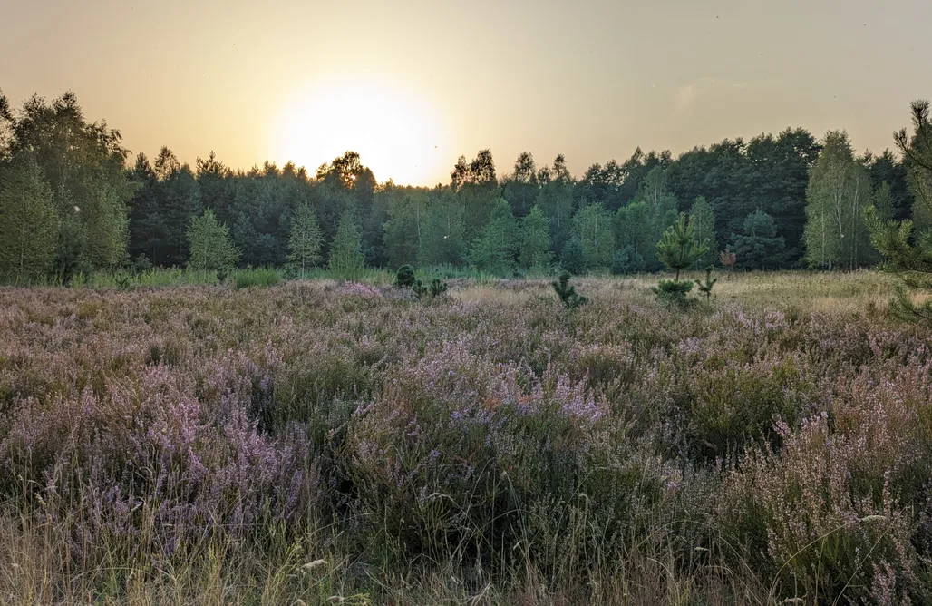 AlohaCamp Zielona Perspektywa Agroturystyka 1