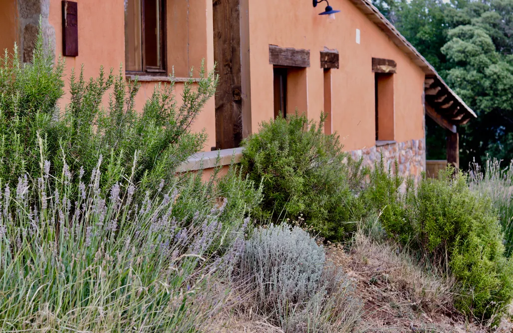 Majorka Last Minute Masia La Caseta  3