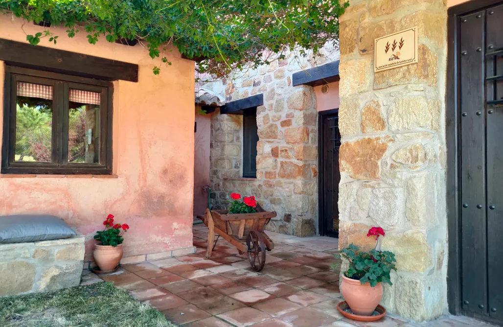 AlohaCamp Casita Tomillo 1