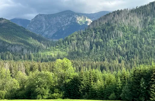 Zdjęcie obiektu Apartamenty Riders Lodge Kościelisko 