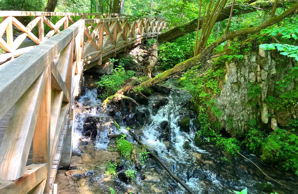 noclegi AlohaCamp 3pokoje - domek wśród drzew na Roztoczu 5