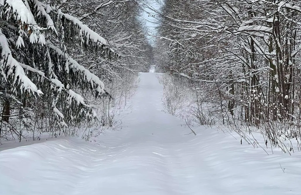 noclegi AlohaCamp Gajówka 1