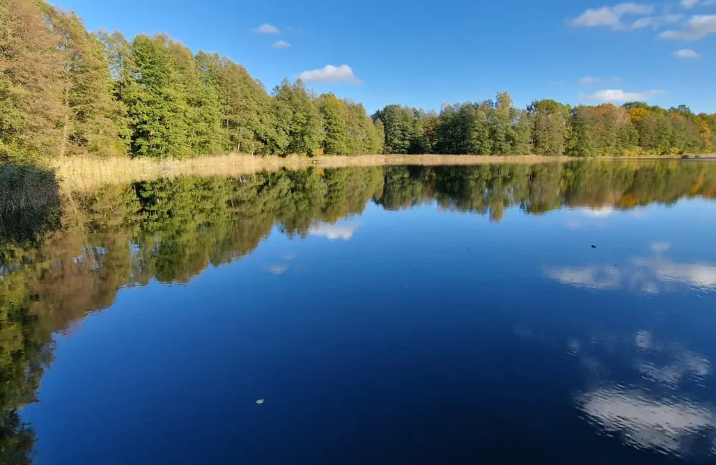 noclegi AlohaCamp Rezerwat 1