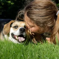 Paul & Véronique Gastgebe Ferienhaus Waldidyll