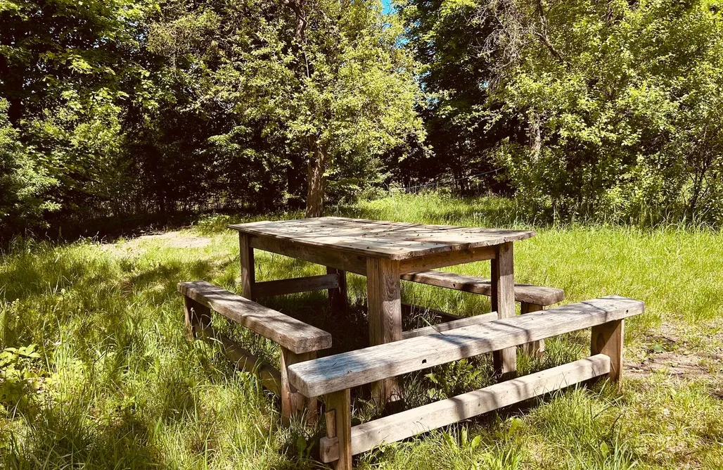 noclegi AlohaCamp Dom w skolitach  3