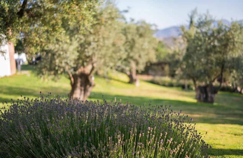 AlohaCamp accommodation Alqueria de los lentos - Casita para 5 personas 4