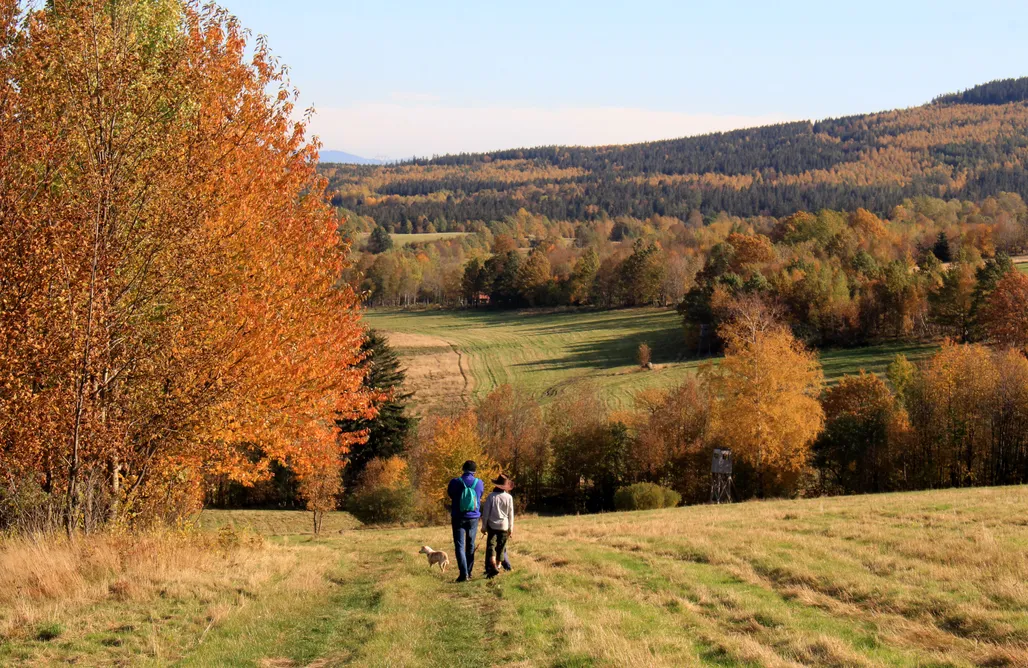 noclegi AlohaCamp Izerski Potok pokoje 1