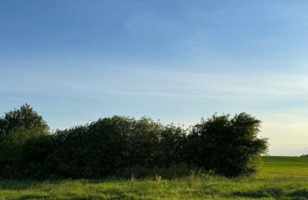 Kąty Rybackie Noclegi Domek Chwila Pauzy - Jeleń 3