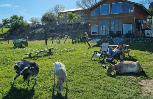 Zdjęcie obiektu SeliRaj - Zwierzaki, Natura i Prywatne Jezioro na Kaszubach
