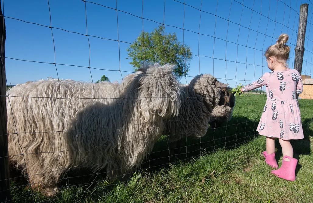 noclegi AlohaCamp 3 Stodoły 5