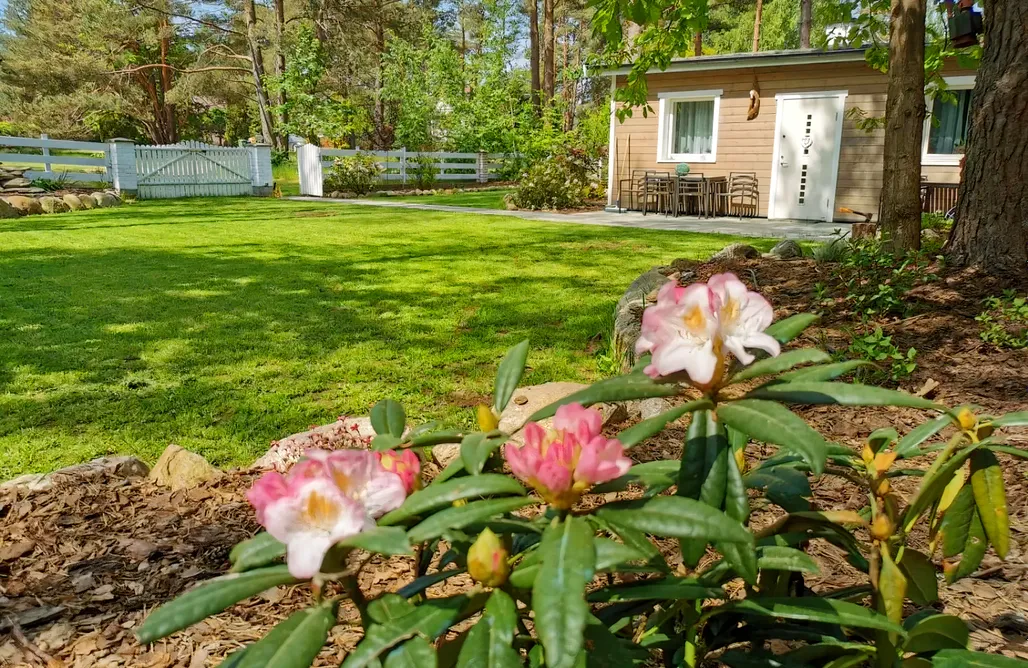 AlohaCamp accommodation Sosnowy Azyl 4