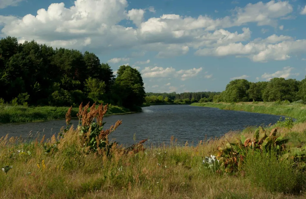Domki Z Balią Dom z basenem nad Narwią 1