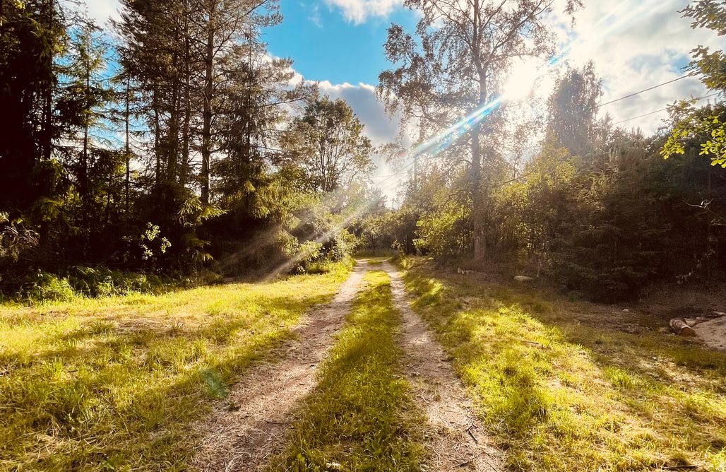 AlohaCamp Glamping  1