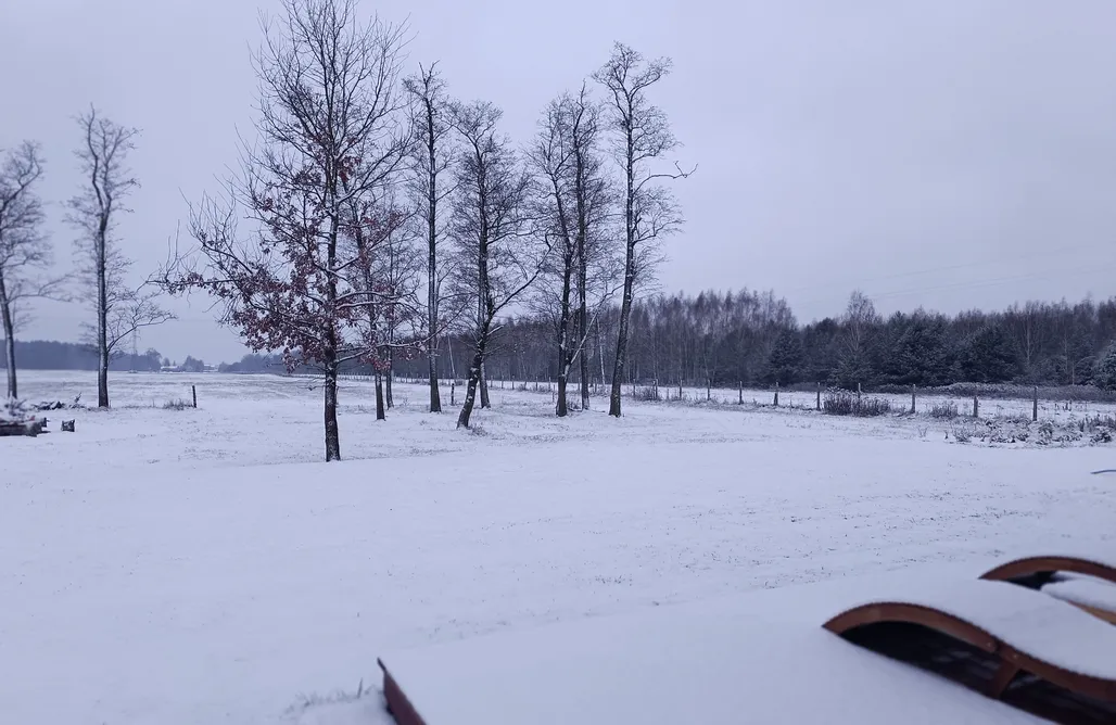 AlohaCamp accommodation Villa Brzezinów  1