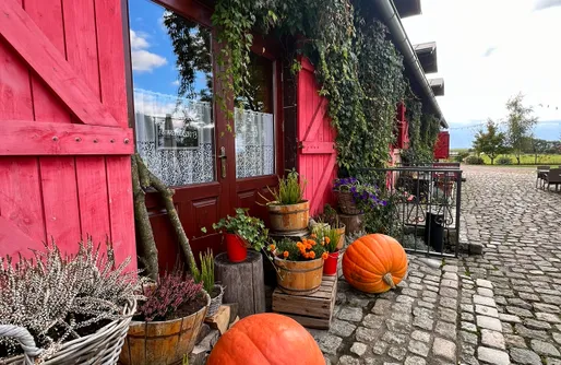 Zdjęcie obiektu Stare Polaszki 13