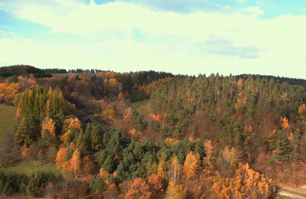 AlohaCamp Miłochata 1