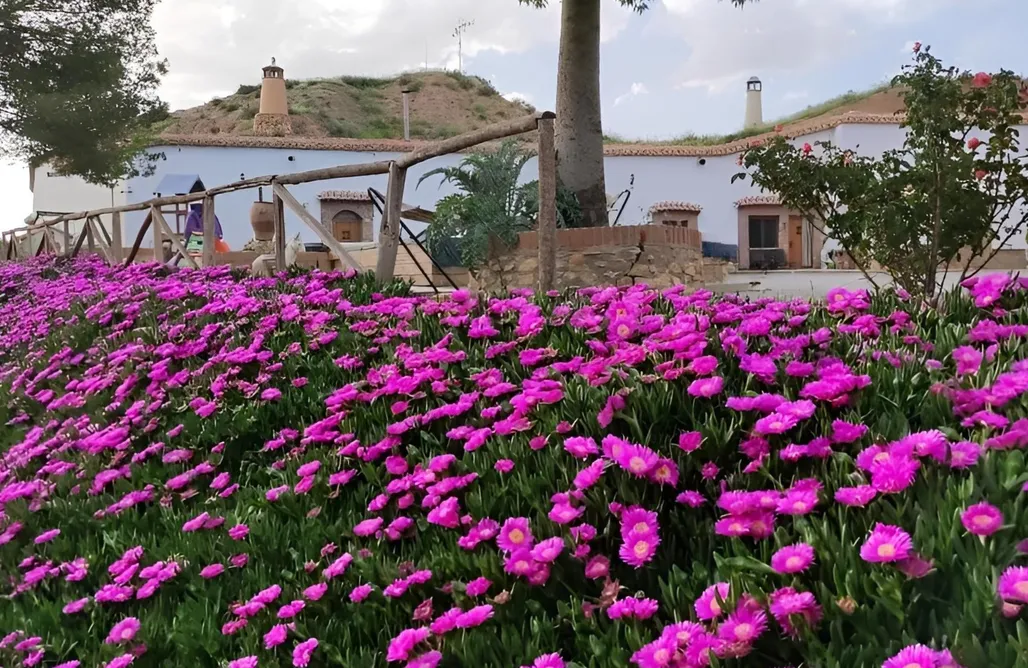 Alojamientos Granada Cuevas Cortijo Gachas 3