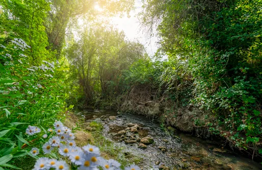 Imagen de El Molino De La Pastora