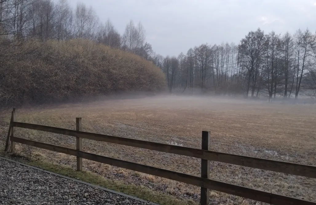 AlohaCamp Leśny Domek 1