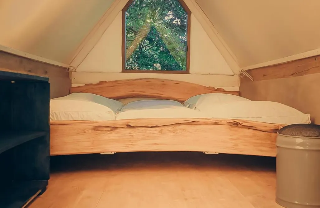 AlohaCamp Forest Cabin (3 Guests) 2