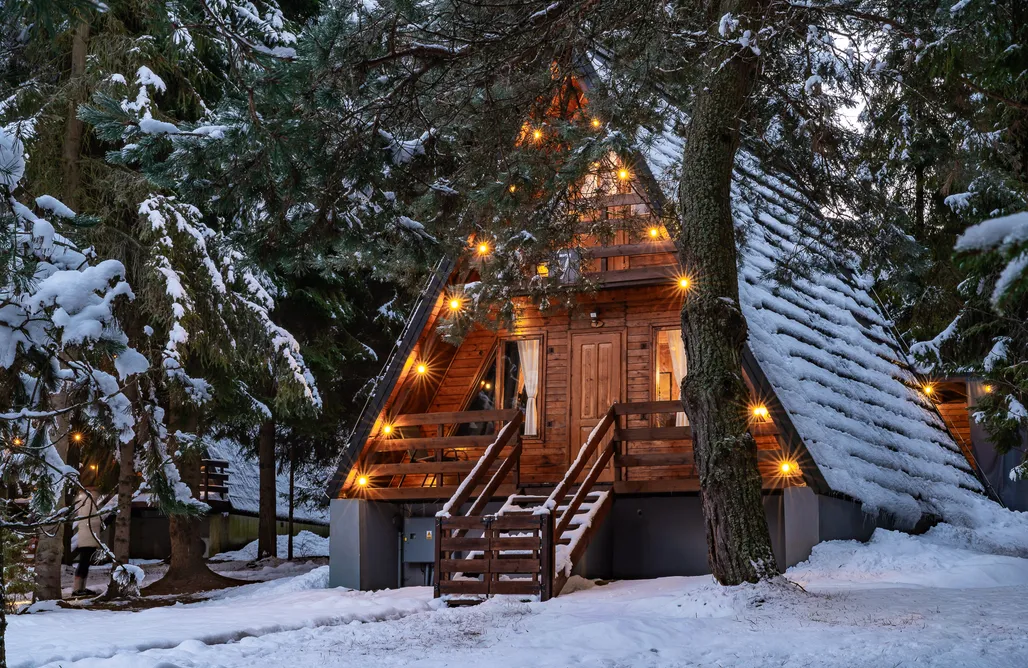 Ukryta Leśna Sielanka AlohaCamp