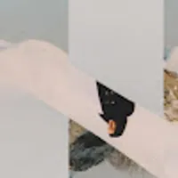 Karolina użytkownik