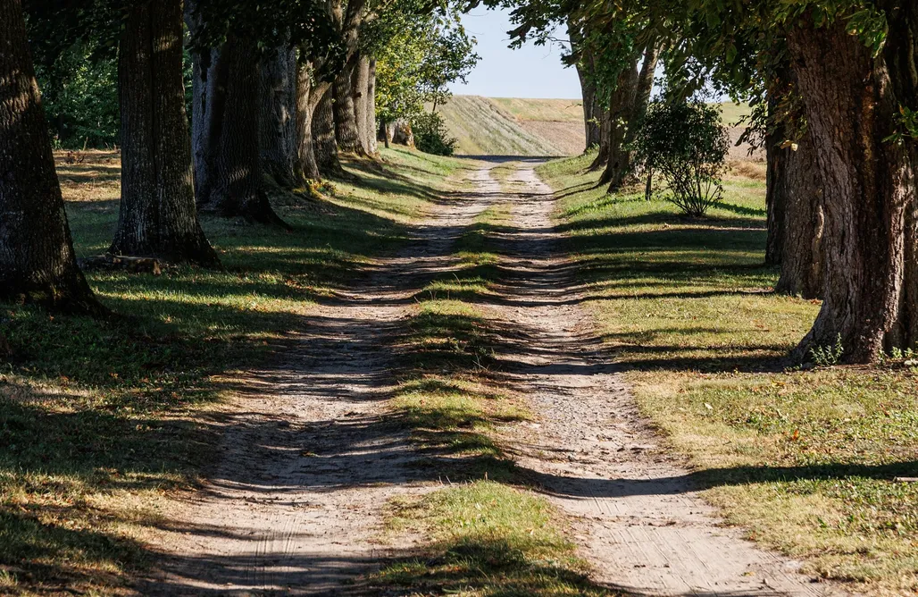 Alloggi AlohaCamp Dwór Udrycze 1