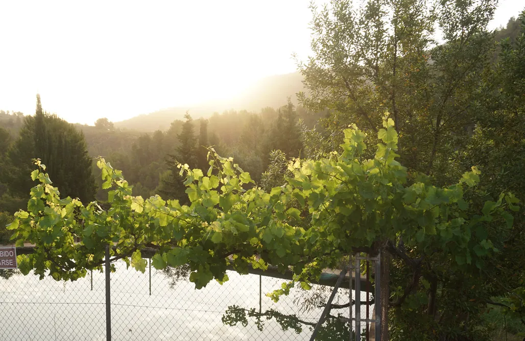 Camping Holidays Spain Sitio para autocaravanas y tiendas: Las Selvas 2