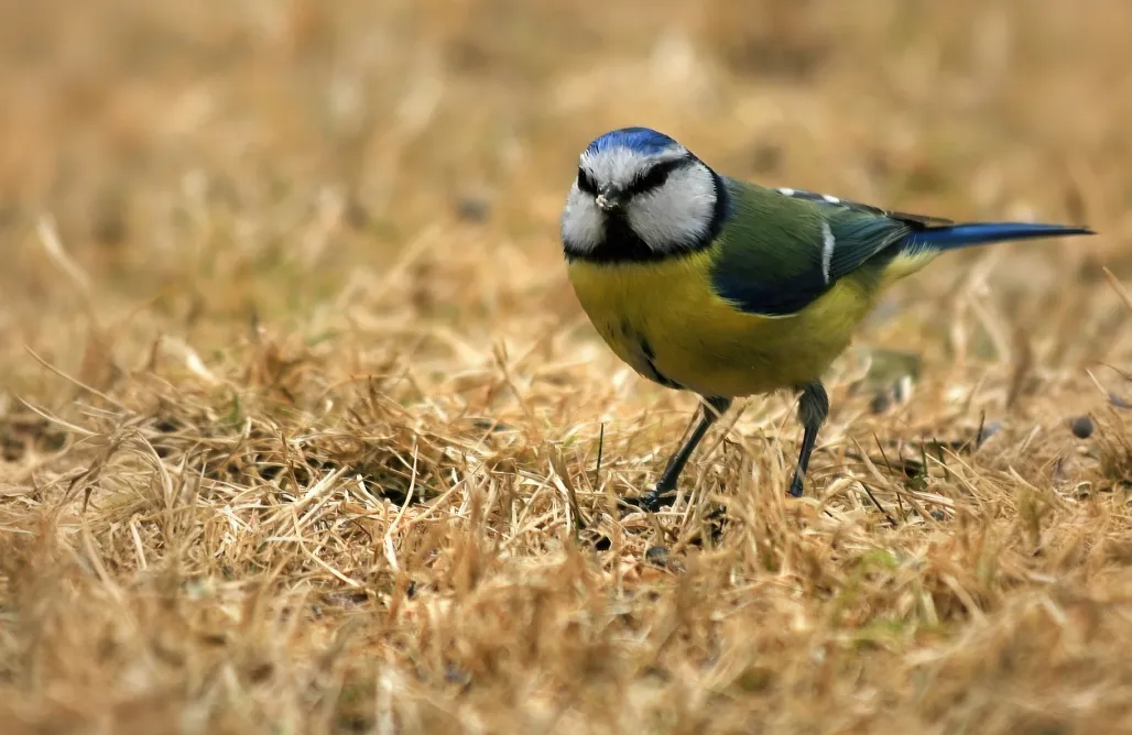 Agroturystyka Kaszuby Domki na Kaszubach 1