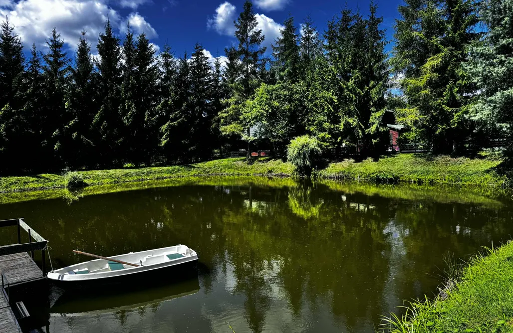 AlohaCamp Baciki Średnie 73 Domek nad Stawami  1