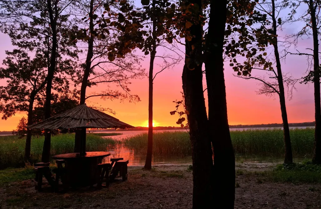 Glamping Warszawa Siedlisko 4 Żywioły 3