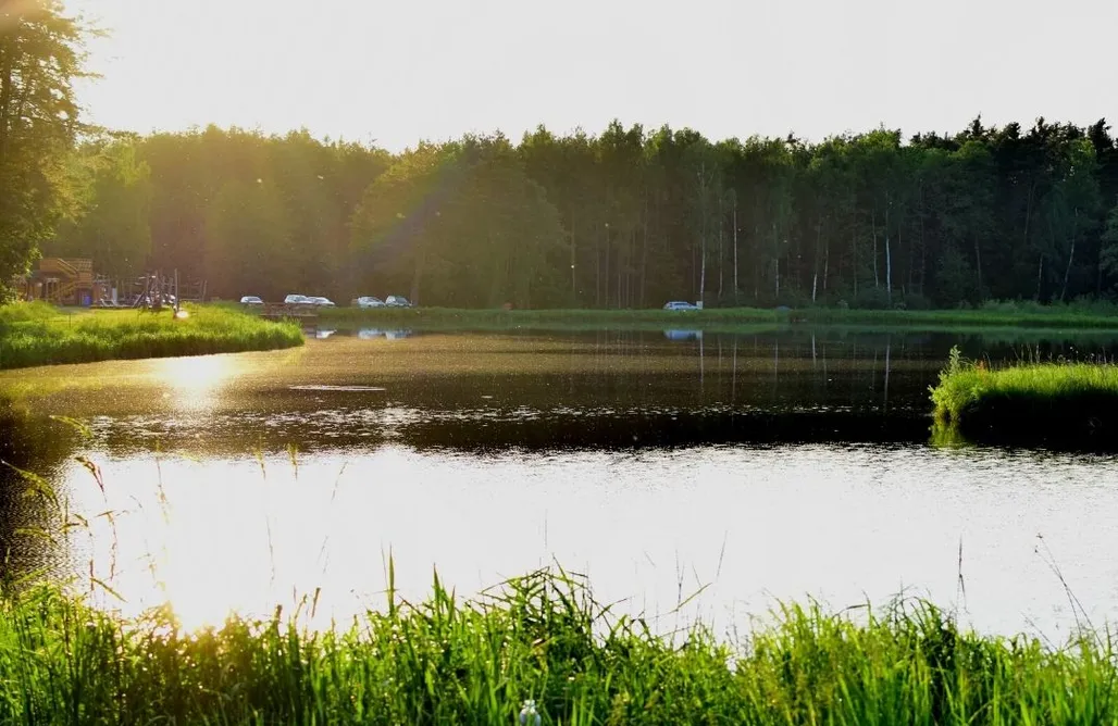 AlohaCamp Cztery Stawy Glamp - Namiot Safari Sienkiewicz 1